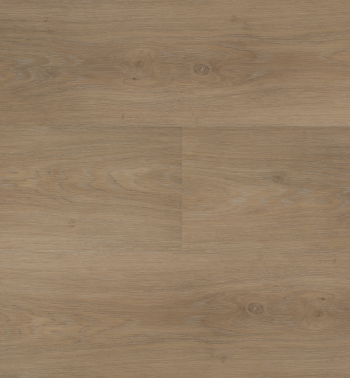 Chapelle_Lange plank_54842