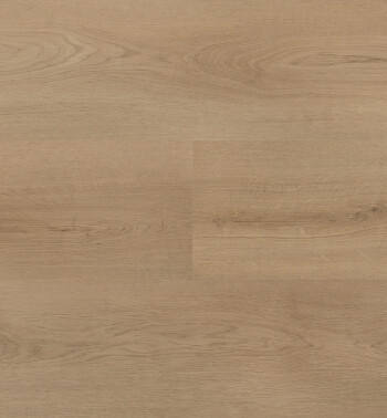 Clermont_Lange plank_54820