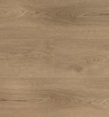 Clermont_Lange plank_54822