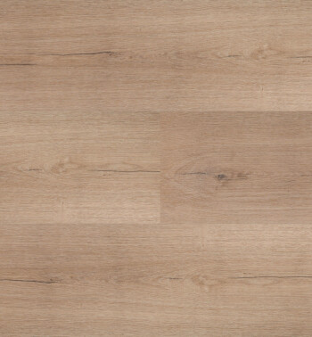 HBG_50_img583_54850_Samengesteld-LR